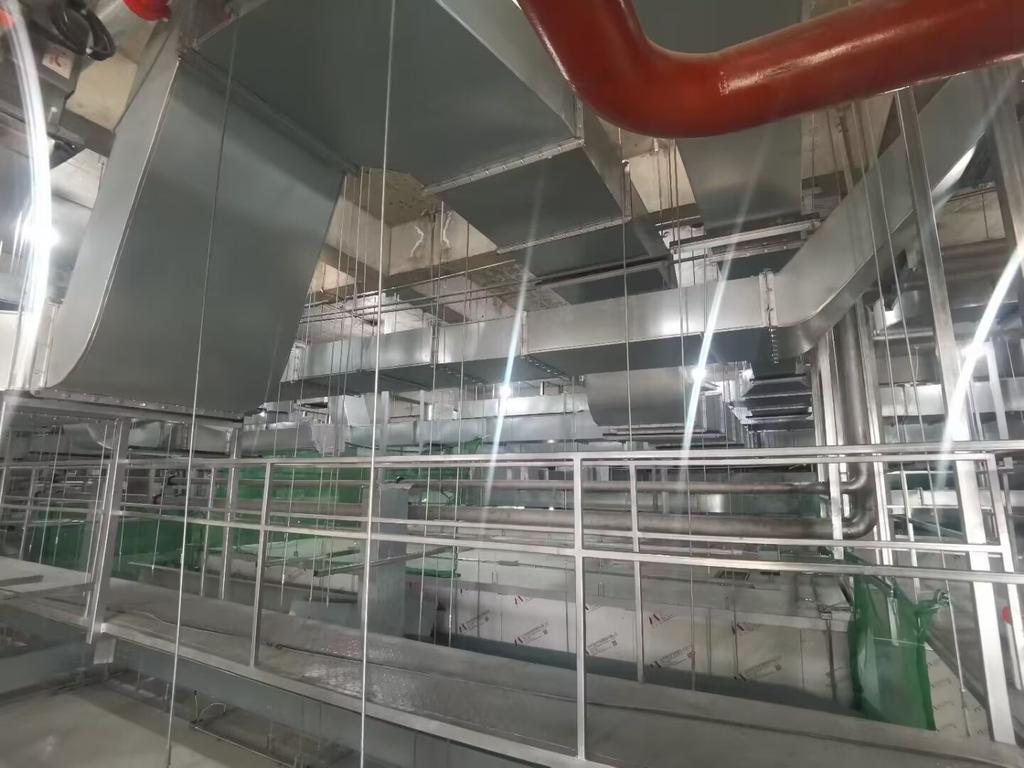 泰州扬子江药业项目 - 施工图